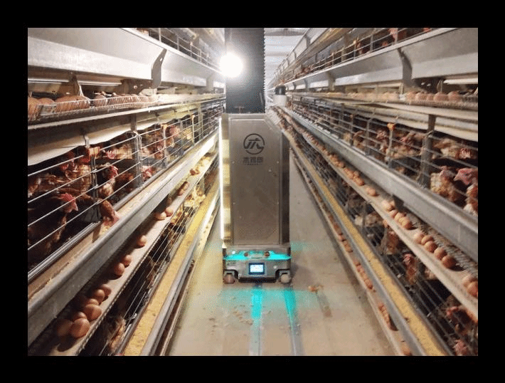 畜禽智能化养殖专业